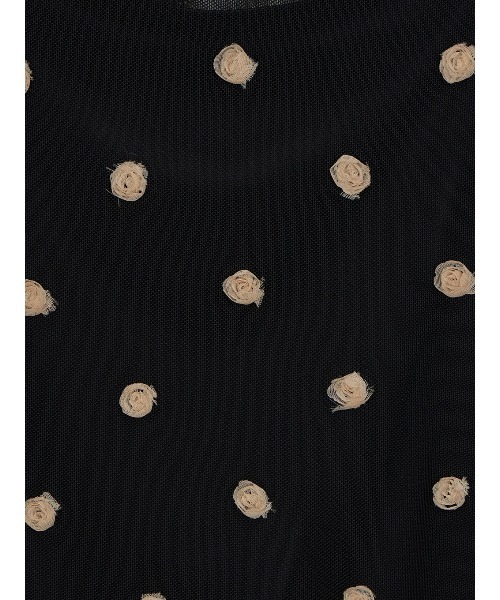 Ameri（アメリ）の「ROSE MOTIF SHEER TOP（Tシャツ/カットソー
