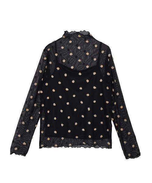 【値下げ】AMERI アメリ シアートップス シースルー 花柄 薔薇 ローズ AMERI アメリ シアートップス シースルー 花柄 薔薇 ローズ 長袖