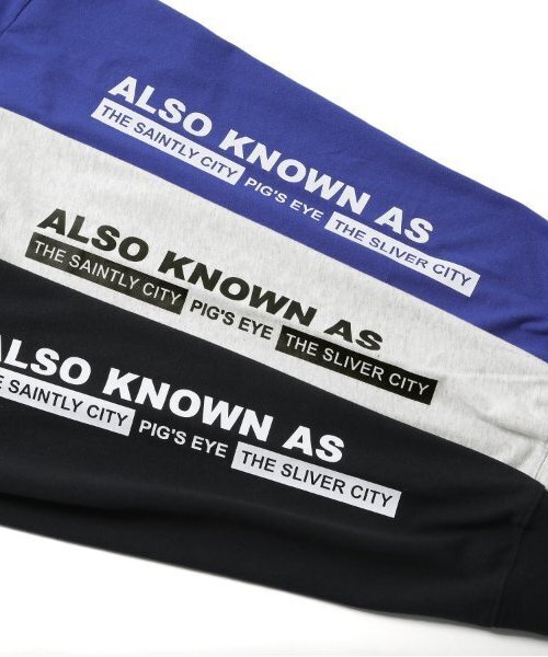 GLAZOS（グラソス）の「USAコットン・袖ロゴバックプリントビッグ長袖Tシャツ（Tシャツ/カットソー・キッズ・オートミール/ブルー/ブラック・S/M/L/LL）」の14枚目の写真
