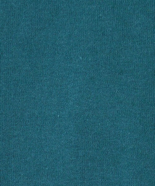 SMITH'S（スミス）の「SMITH’S（スミス）別注ポケットTシャツ（Tシャツ/カットソー・メンズ・ベージュ/マスタード/ダークグリーン/ブラック/コバルトブルー/ホワイト・M/S/XL/L）」の8枚目の写真