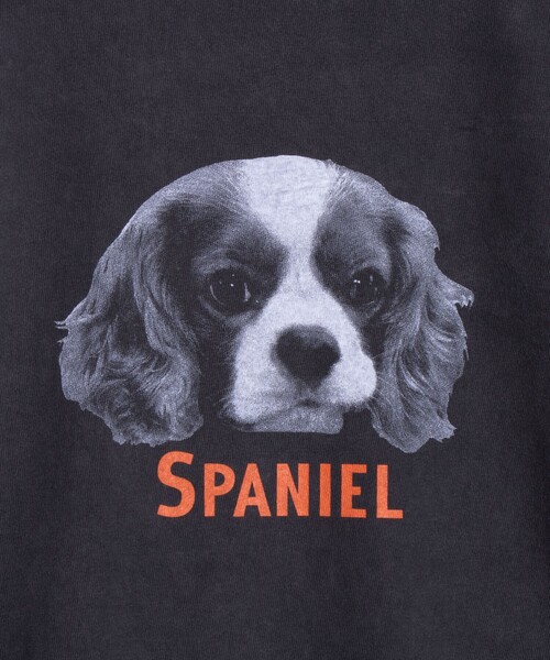 GLOSTER(グロスター)の「【GLOSTER/グロスター】DOG&CAT 犬猫プリント ピグメント プリントロンT 長袖Tシャツ(Tシャツ/カットソー・メンズ・ブラック系その他3/ブラック系その他4/ブラック系その他5/ブラック系その他/ブラック系その他6/ブラック系その他2・S/M/L)」の8枚目の写真