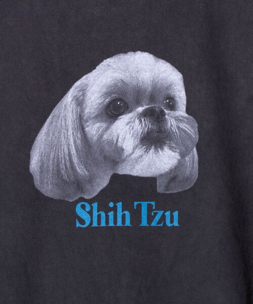 GLOSTER(グロスター)の「【GLOSTER/グロスター】DOG&CAT 犬猫プリント ピグメント プリントロンT 長袖Tシャツ(Tシャツ/カットソー・メンズ・ブラック系その他3/ブラック系その他4/ブラック系その他5/ブラック系その他/ブラック系その他6/ブラック系その他2・S/M/L)」の10枚目の写真