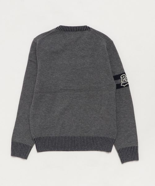 POLO RALPH LAUREN CHILDRENSWEAR（ポロ ラルフ ローレン チルドレンズウェア）の「ドッグ メリノコットン セーター（ニット/セーター・キッズ・グレー・SMALL/MEDIUM/LARGE/X-LARGE）」の5枚目の写真