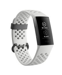 Fitbit | 【Fitbit】フィットビット フィットネストラッカー charge3 活動量計 ＜スペシャルエディション＞(アナログ腕時計)