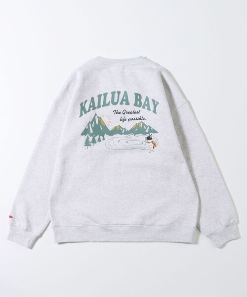 NAVAL（ナバル）の「CAMPLAY by Kailua Bay / KAILUA MOUNTAIN CREW NECK SWEAT / カイルア マウンテン クルーネック スウェット（スウェット・メンズ・ダークブラウン/キナリ/ブルーグレー・LARGE/MEDIUM）」の13枚目の写真
