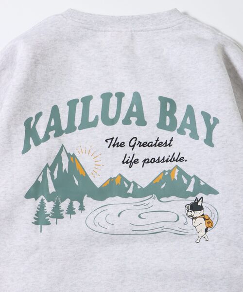 NAVAL（ナバル）の「CAMPLAY by Kailua Bay / KAILUA MOUNTAIN CREW NECK SWEAT / カイルア マウンテン クルーネック スウェット（スウェット・メンズ・ダークブラウン/キナリ/ブルーグレー・LARGE/MEDIUM）」の6枚目の写真