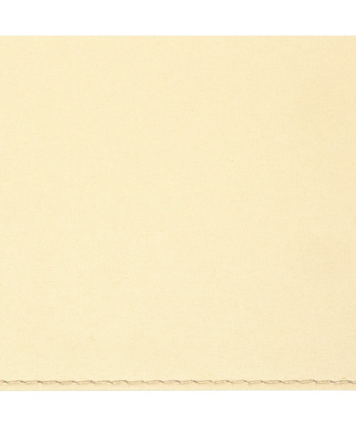 Wpc.（ダブリュピーシー）の「LIMITED／完全遮光 WIND-RESISTANT LARGE PARASOL（長傘・メンズ・ブラック/ベージュ/サックスブルー/ピンク/ラベンダー/ブラウン/ライトグリーン・FREE）」の12枚目の写真