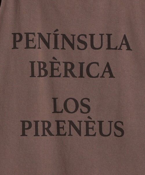 Odub（オーダブ）の「【SHIPS別注】Odub:プロセッシング ハーフスリーブ TEE◇（Tシャツ/カットソー・レディース・ライトブルー/ブラウン/ベージュ/ダークグレー/ホワイト/チャコールグレー/ベージュ系その他/パープル・ONE SIZE）」の9枚目の写真