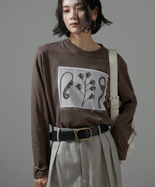 SALON adam et rope'(サロン アダム エ ロペ)の「【WEB限定】【KARL BLOSSFELDT(カールブロスフェルト)】ロングスリーブTシャツ(Tシャツ/カットソー・レディース・ブラウン/ブラウン系その他2/ホワイト系その他/ホワイト・FREE)」の4枚目の写真