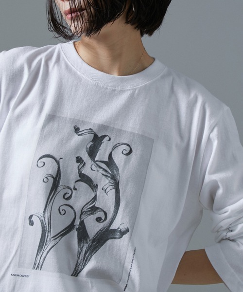 セール】【WEB限定】【KARL BLOSSFELDT（カールブロスフェルト