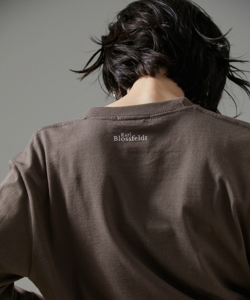 SALON adam et rope'(サロン アダム エ ロペ)の「【WEB限定】【KARL BLOSSFELDT(カールブロスフェルト)】ロングスリーブTシャツ(Tシャツ/カットソー・レディース・ブラウン/ブラウン系その他2/ホワイト系その他/ホワイト・FREE)」の17枚目の写真