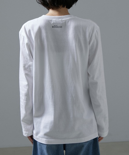 SALON adam et rope'(サロン アダム エ ロペ)の「【WEB限定】【KARL BLOSSFELDT(カールブロスフェルト)】ロングスリーブTシャツ(Tシャツ/カットソー・レディース・ブラウン/ブラウン系その他2/ホワイト系その他/ホワイト・FREE)」の14枚目の写真