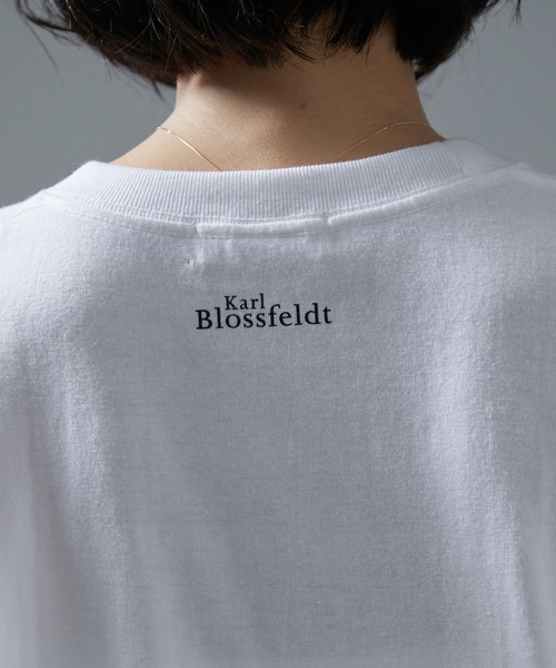 SALON adam et rope'(サロン アダム エ ロペ)の「【WEB限定】【KARL BLOSSFELDT(カールブロスフェルト)】ロングスリーブTシャツ(Tシャツ/カットソー・レディース・ブラウン/ブラウン系その他2/ホワイト系その他/ホワイト・FREE)」の9枚目の写真