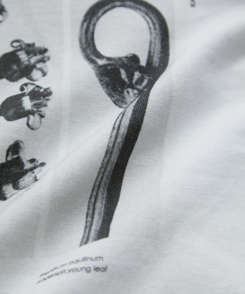 SALON adam et rope'(サロン アダム エ ロペ)の「【WEB限定】【KARL BLOSSFELDT(カールブロスフェルト)】ロングスリーブTシャツ(Tシャツ/カットソー・レディース・ブラウン/ブラウン系その他2/ホワイト系その他/ホワイト・FREE)」の8枚目の写真