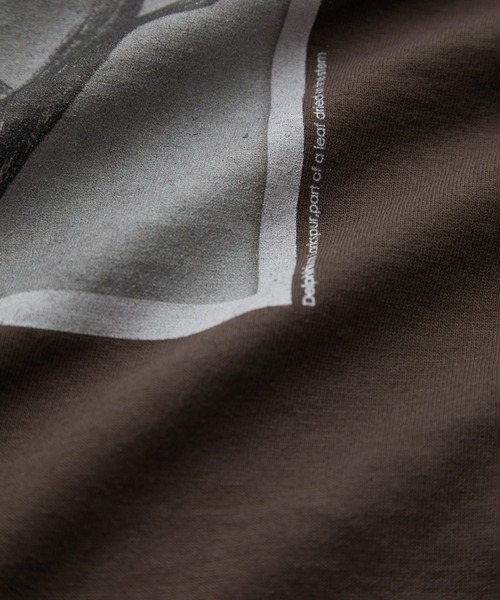 SALON adam et rope'(サロン アダム エ ロペ)の「【WEB限定】【KARL BLOSSFELDT(カールブロスフェルト)】ロングスリーブTシャツ(Tシャツ/カットソー・レディース・ブラウン/ブラウン系その他2/ホワイト系その他/ホワイト・FREE)」の5枚目の写真