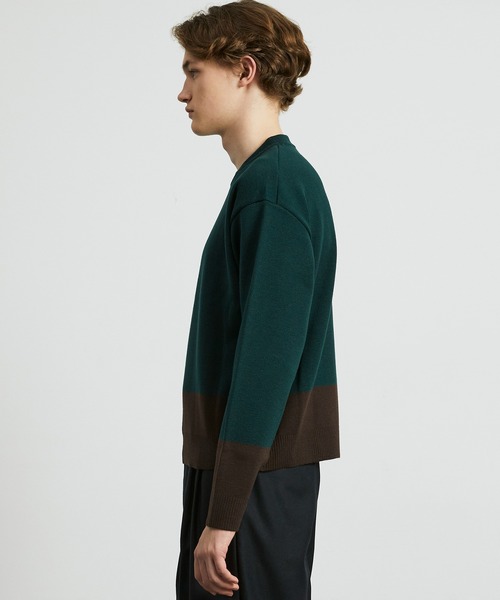 セール】ウォッシャブルウールコンフォート バイカラーニット ｜短丈