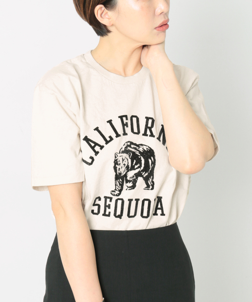 MIXTA（ミクスタ）の「《別注》【MIXTA/ミクスタ】CALIFORNIA SEQUOIA S/S T-SH：Tシャツ（Tシャツ/カットソー・レディース・アイボリー・MEDIUM）」の17枚目の写真