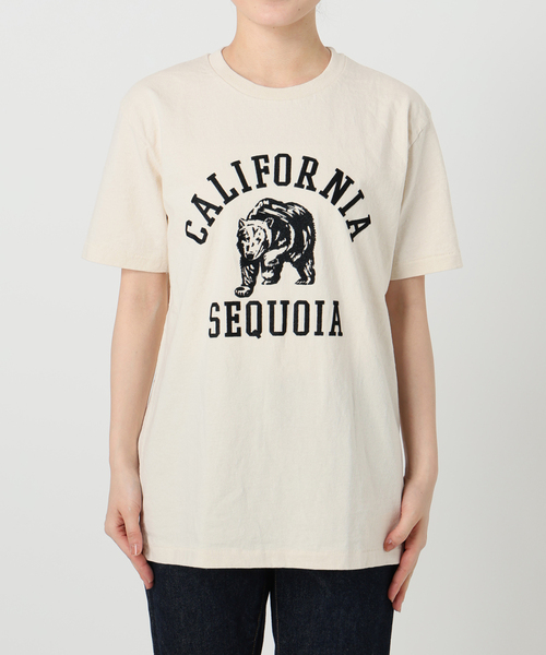 MIXTA（ミクスタ）の「《別注》【MIXTA/ミクスタ】CALIFORNIA SEQUOIA S/S T-SH：Tシャツ（Tシャツ/カットソー・レディース・アイボリー・MEDIUM）」の18枚目の写真