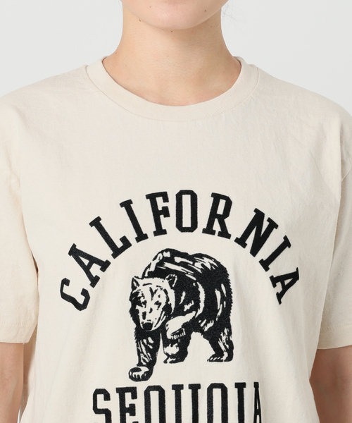 MIXTA（ミクスタ）の「《別注》【MIXTA/ミクスタ】CALIFORNIA SEQUOIA S/S T-SH：Tシャツ（Tシャツ/カットソー・レディース・アイボリー・MEDIUM）」の22枚目の写真