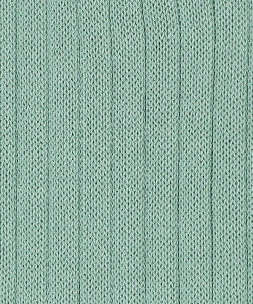 green label relaxing(グリーンレーベルリラクシング)の「【別注】<ADRIAN>GLR リブ ソックス(ソックス/靴下・メンズ・ナチュラル/ライトブルー/ライム/モカ/ライトピンク/ダークグレー・FREE)」の9枚目の写真