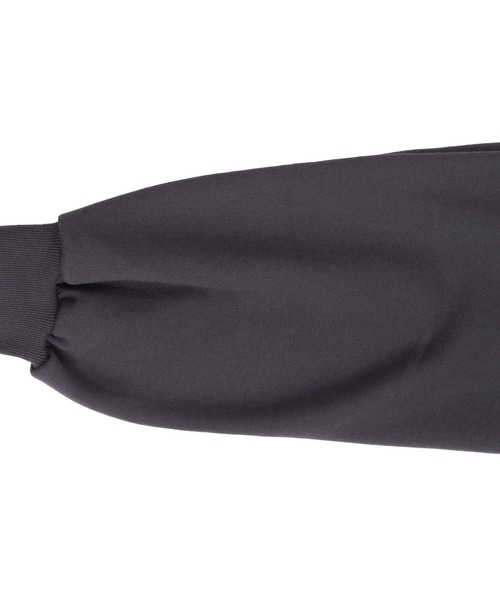 PUNYUS（プニュズ）の「裏起毛アマゾネス刺繍パーカー（パーカー・レディース・ベージュ/ブルー/グリーン/スミクロ・4/3）」の14枚目の写真