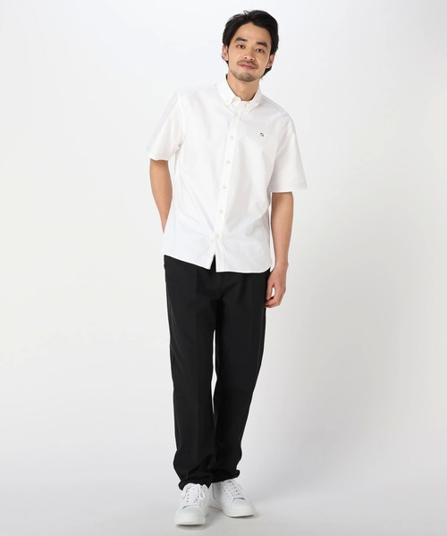 APクラシック オックス 半袖 シェア シャツ（シャツ/ブラウス