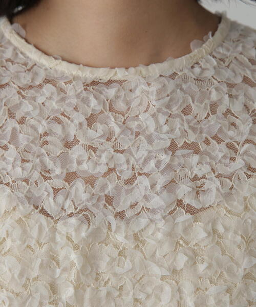 FREE'S MART(フリーズマート)の「◆レースフリルブラウス(シャツ/ブラウス・レディース・ホワイト/ブラック・FREE)」の19枚目の写真