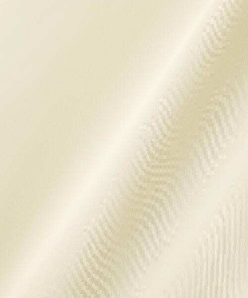 【セール】◇バイカラーラインタックブラウス（シャツ/ブラウス）｜NATURAL BEAUTY BASIC（ナチュラルビューティーベーシック）