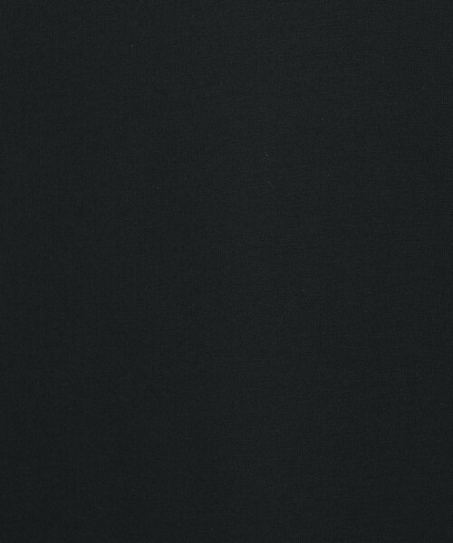 UNTITLED(アンタイトル)の「【Audrey and John Wad】ダブルシルケット天竺ワンピース(ワンピース・レディース・ダークブラウン/ブラック/チャコールグレー・02)」の12枚目の写真