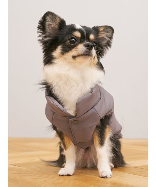 セール】【CAT&DOG】中綿ベスト（ペットウェア）｜gelato pique