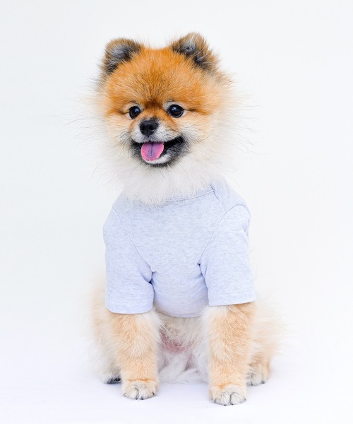 Best Friends（ベストフレンズ）の「Best Friends ベストフレンズ：犬服 ぎょうざTシャツ（ペットウェア・レディース・ホワイト・S/M/XXL/L/XL）」の9枚目の写真