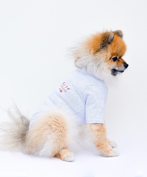 Best Friends（ベストフレンズ）の「Best Friends ベストフレンズ：犬服 ぎょうざTシャツ（ペットウェア・レディース・ホワイト・S/M/XXL/L/XL）」の12枚目の写真