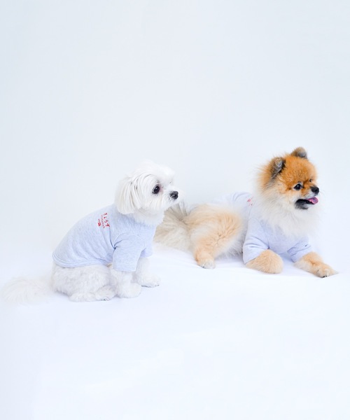 Best Friends（ベストフレンズ）の「Best Friends ベストフレンズ：犬服 ぎょうざTシャツ（ペットウェア・レディース・ホワイト・S/M/XXL/L/XL）」の4枚目の写真