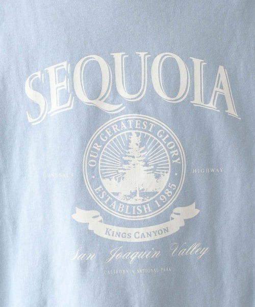 LEPSIM(レプシィム)の「アソートプリントT 177185(Tシャツ/カットソー・レディース・ホワイト×ブラック/ブラウン/ライトブルー/オフホワイト・FREE)」の11枚目の写真