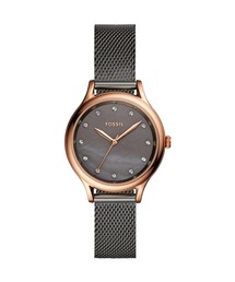 FOSSIL(tHbV)̃tHbV rv fB[X AiO XeX BQ3393(AiOrv)