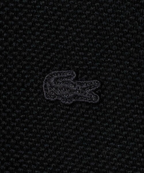 LACOSTE(ラコステ)の「<LACOSTE for BEAUTY&YOUTH>ジップ カーディガン(カーディガン/ボレロ・メンズ・ブラック/ダークグレー/ライトグレー・S/M/L/XL)」の6枚目の写真