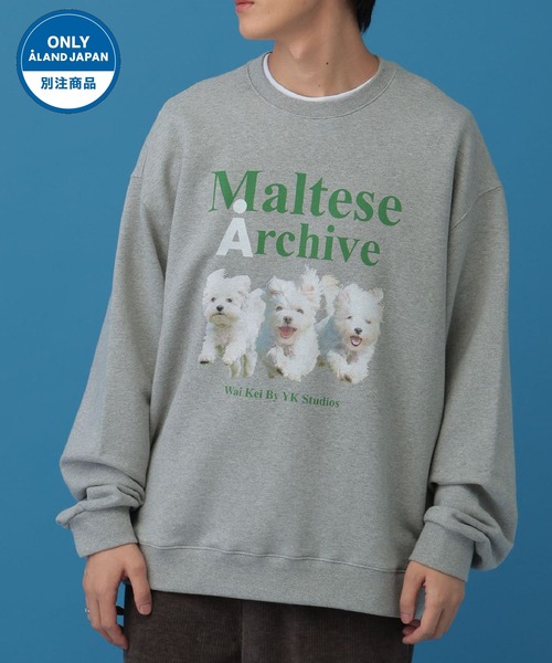 セール】【UNISEX】Wai Kei／Amaltese プルオーバー(ウラケ