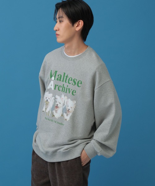 WaiKei(ワイケイ)の「【UNISEX】Wai Kei/Amaltese プルオーバー(ウラケ)(スウェット・レディース・アイボリー/ネイビー/グレー・LARGE/MEDIUM)」の18枚目の写真