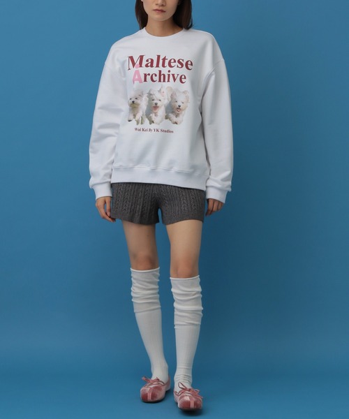 WaiKei(ワイケイ)の「【UNISEX】Wai Kei/Amaltese プルオーバー(ウラケ)(スウェット・レディース・アイボリー/ネイビー/グレー・LARGE/MEDIUM)」の9枚目の写真