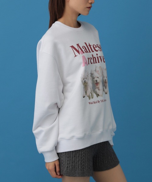 WaiKei(ワイケイ)の「【UNISEX】Wai Kei/Amaltese プルオーバー(ウラケ)(スウェット・レディース・アイボリー/ネイビー/グレー・LARGE/MEDIUM)」の13枚目の写真