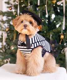 MY LITTLE DOG（マイ リトル ドッグ）の「Coco Pique Striped Poncho（ペットウェア）」