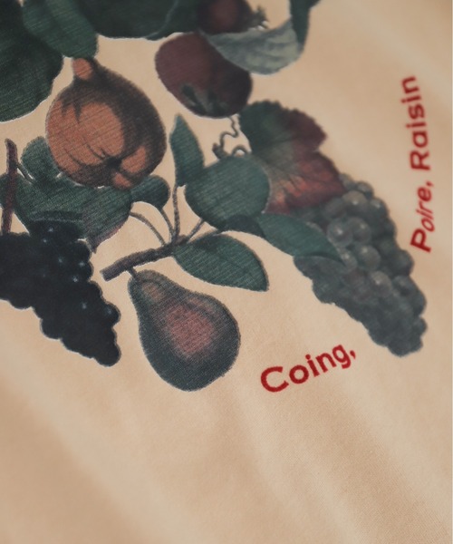 NOMBRE IMPAIR（ノンブルアンペール）の「フルーツフロッキープリント　長袖TEE（Tシャツ/カットソー・レディース・ホワイト/ベージュ・FREE）」の20枚目の写真