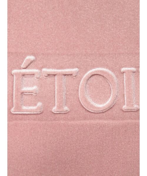 RESEXXY(リゼクシー)の「エンボスロゴベロアTシャツ(Tシャツ/カットソー・レディース・ピンク/ブルー/ベージュ・FREE)」の20枚目の写真