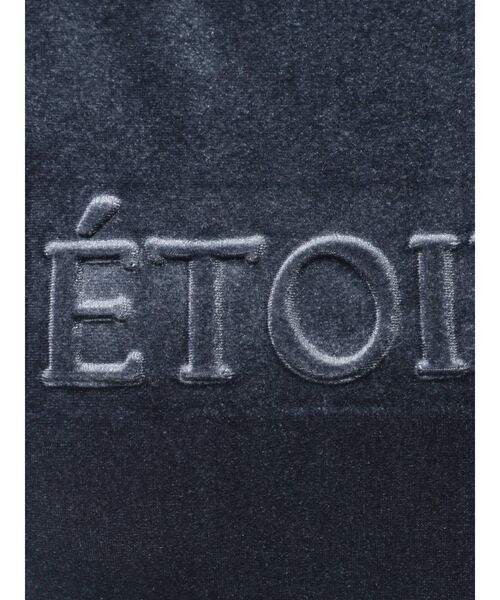 RESEXXY(リゼクシー)の「エンボスロゴベロアTシャツ(Tシャツ/カットソー・レディース・ピンク/ブルー/ベージュ・FREE)」の21枚目の写真