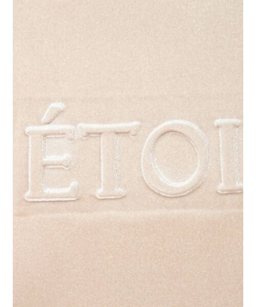 RESEXXY(リゼクシー)の「エンボスロゴベロアTシャツ(Tシャツ/カットソー・レディース・ピンク/ブルー/ベージュ・FREE)」の22枚目の写真