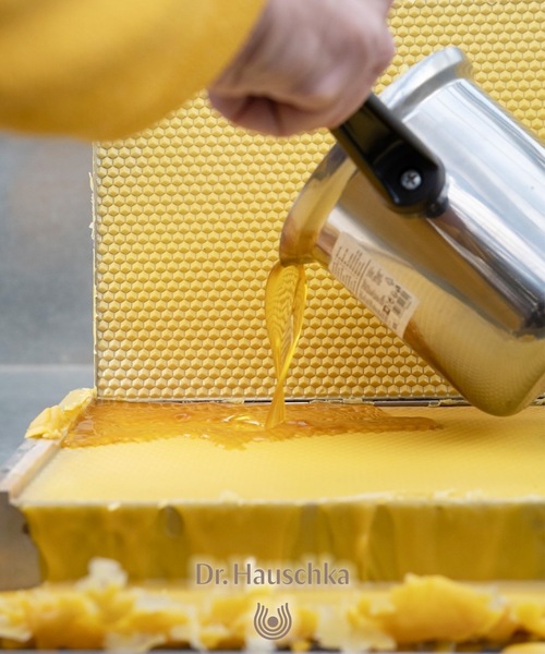 Dr.Hauschka（ドクターハウシュカ）の「Dr.ハウシュカ　リップケアスティック（リップクリーム・レディース・その他・FREE）」の12枚目の写真