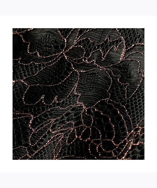 AMOSTYLE BY Triumph（アモスタイルバイトリンプ）の「レギュラーショーツ シャイニング バタフライ AMST966 Hikini JX（ショーツ・レディース・パープル/ブラック/テラコッタ・L/M）」の11枚目の写真