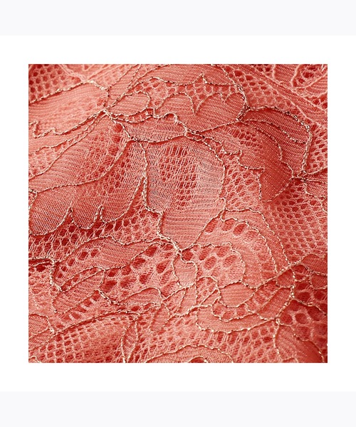 AMOSTYLE BY Triumph（アモスタイルバイトリンプ）の「レギュラーショーツ シャイニング バタフライ AMST966 Hikini JX（ショーツ・レディース・パープル/ブラック/テラコッタ・L/M）」の9枚目の写真