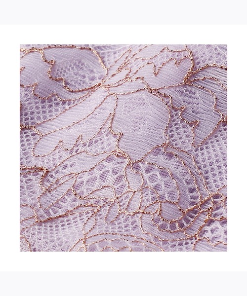 AMOSTYLE BY Triumph（アモスタイルバイトリンプ）の「レギュラーショーツ シャイニング バタフライ AMST966 Hikini JX（ショーツ・レディース・パープル/ブラック/テラコッタ・L/M）」の6枚目の写真