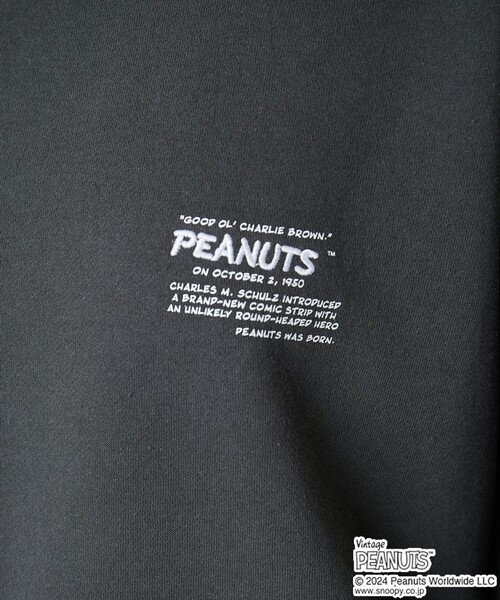 【セール】WEB限定 PEANUTS/ピーナッツ 別注 集合 キャラクター バックプリント スウェット（スウェット）｜FREAK'S STORE（フリークスストア）